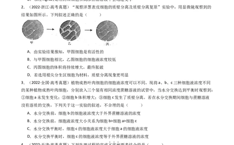 专题03物质运输（原卷卷）_近10年高考真题汇编（必刷）_十年（2014-2024）高考生物真题分项汇编（全国通用）_十年（2014-2023）高考生物真题分项汇编（全国通用）
