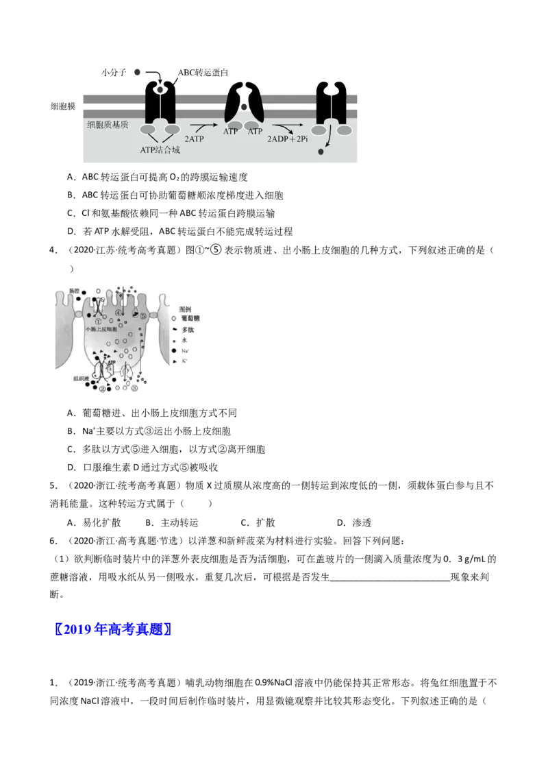 专题03物质运输（原卷卷）_近10年高考真题汇编（必刷）_十年（2014-2024）高考生物真题分项汇编（全国通用）_十年（2014-2023）高考生物真题分项汇编（全国通用）