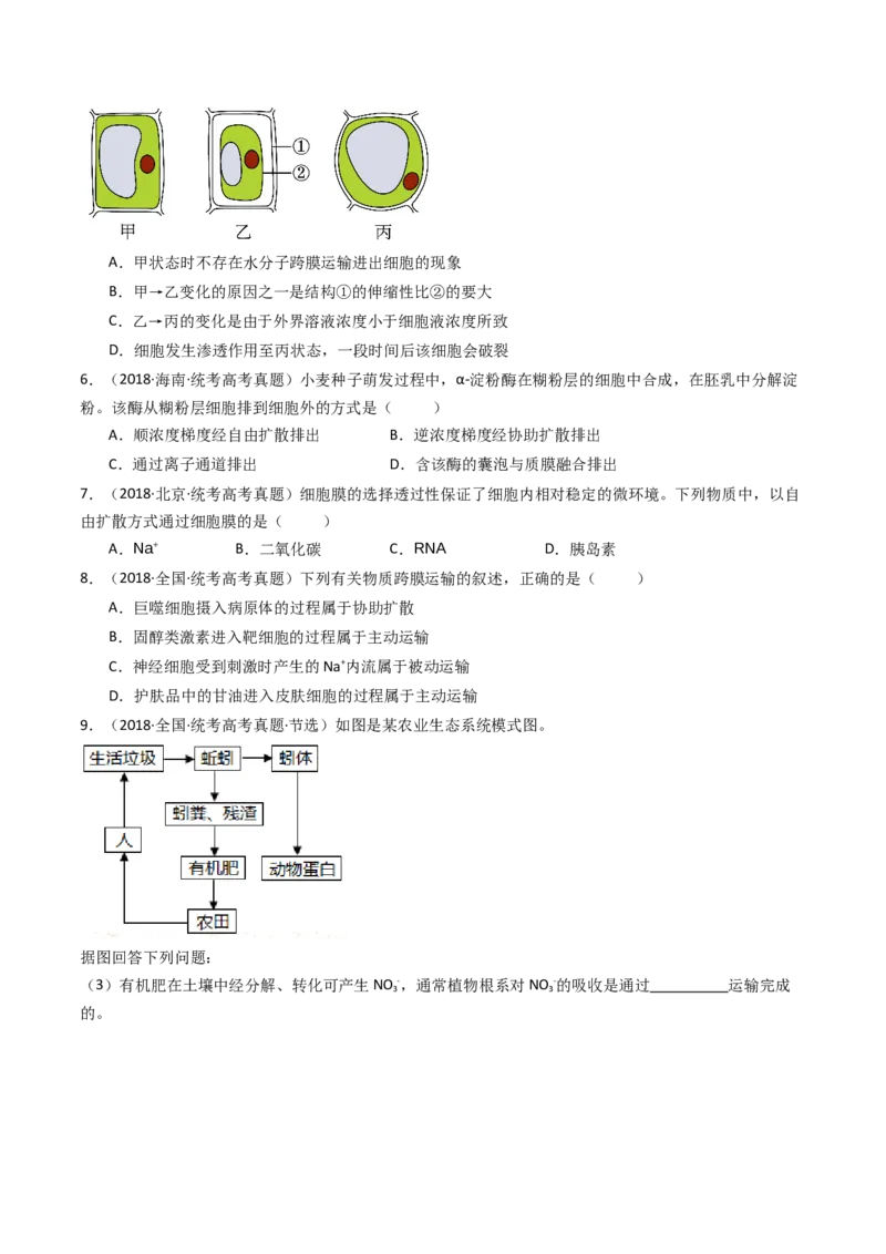 专题03物质运输（原卷卷）_近10年高考真题汇编（必刷）_十年（2014-2024）高考生物真题分项汇编（全国通用）_十年（2014-2023）高考生物真题分项汇编（全国通用）