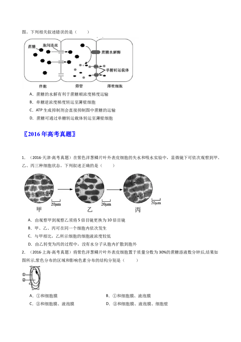 专题03物质运输（原卷卷）_近10年高考真题汇编（必刷）_十年（2014-2024）高考生物真题分项汇编（全国通用）_十年（2014-2023）高考生物真题分项汇编（全国通用）