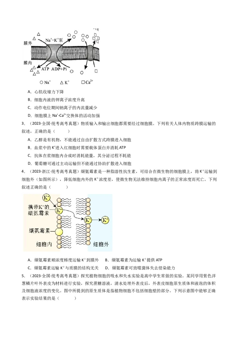 专题03物质运输（原卷卷）_近10年高考真题汇编（必刷）_十年（2014-2024）高考生物真题分项汇编（全国通用）_十年（2014-2023）高考生物真题分项汇编（全国通用）