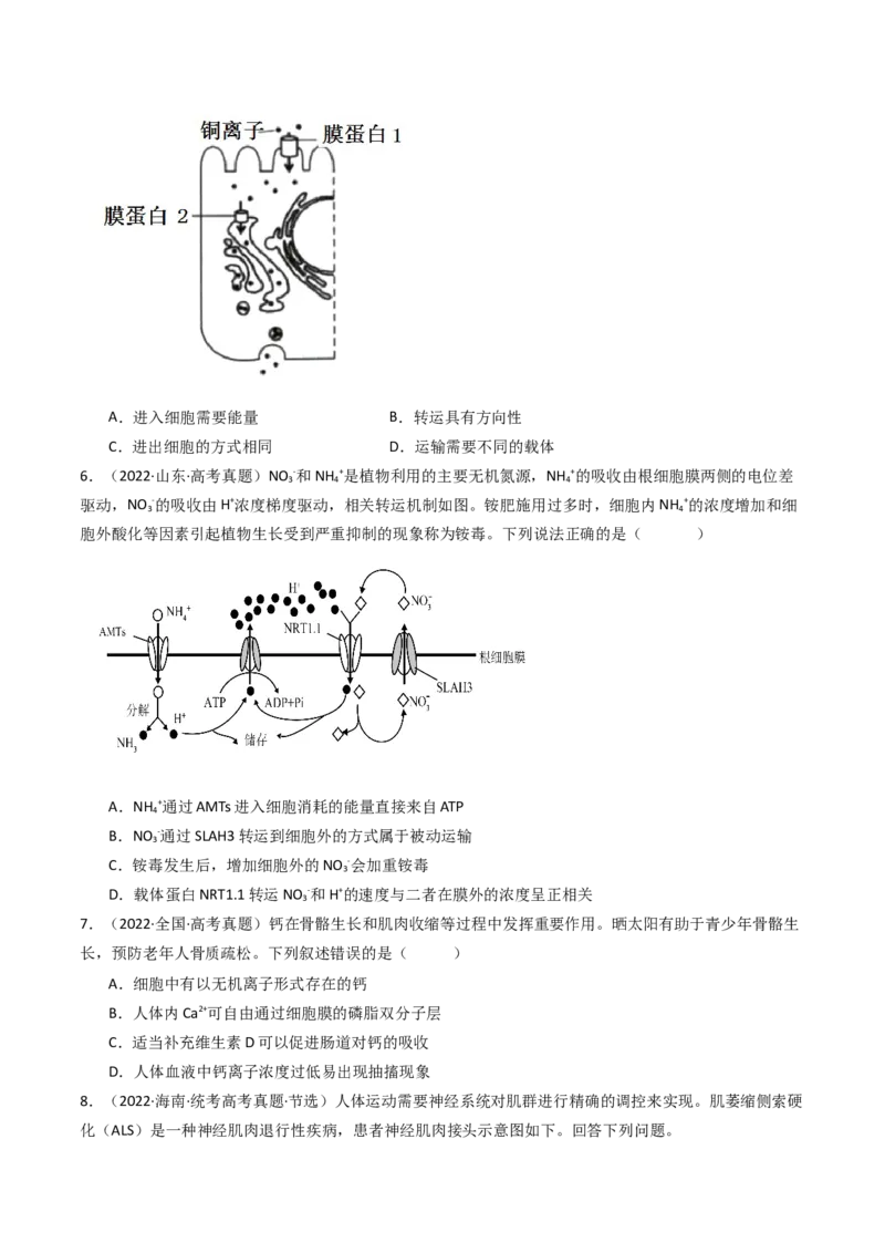 专题03物质运输（原卷卷）_近10年高考真题汇编（必刷）_十年（2014-2024）高考生物真题分项汇编（全国通用）_十年（2014-2023）高考生物真题分项汇编（全国通用）