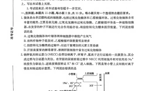 生物试卷_2025年1月_250120山东省枣庄市2025届高三第一学期质量检测（全科）_山东省枣庄市2024-2025学年高三上学期1月期末生物