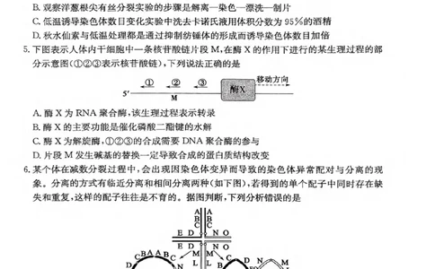 生物试卷_2025年1月_250120山东省枣庄市2025届高三第一学期质量检测（全科）_山东省枣庄市2024-2025学年高三上学期1月期末生物
