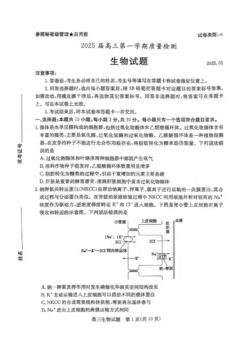 生物试卷_2025年1月_250120山东省枣庄市2025届高三第一学期质量检测（全科）_山东省枣庄市2024-2025学年高三上学期1月期末生物