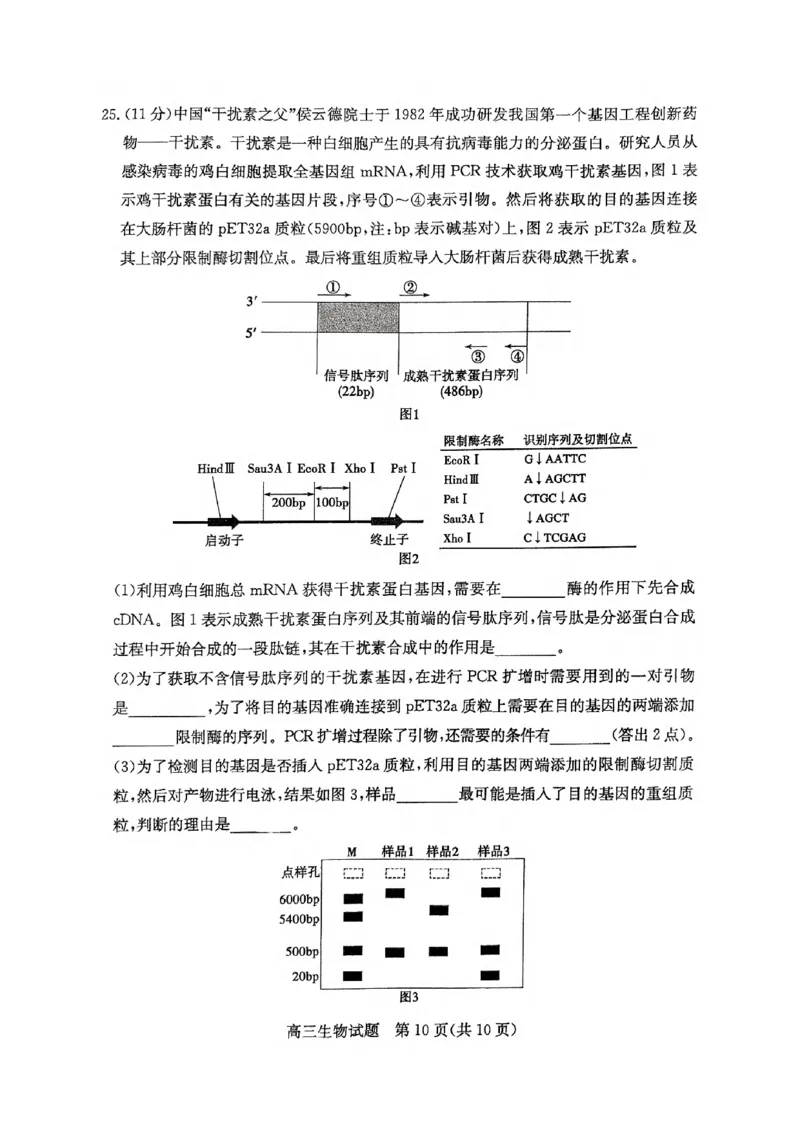 生物试卷_2025年1月_250120山东省枣庄市2025届高三第一学期质量检测（全科）_山东省枣庄市2024-2025学年高三上学期1月期末生物