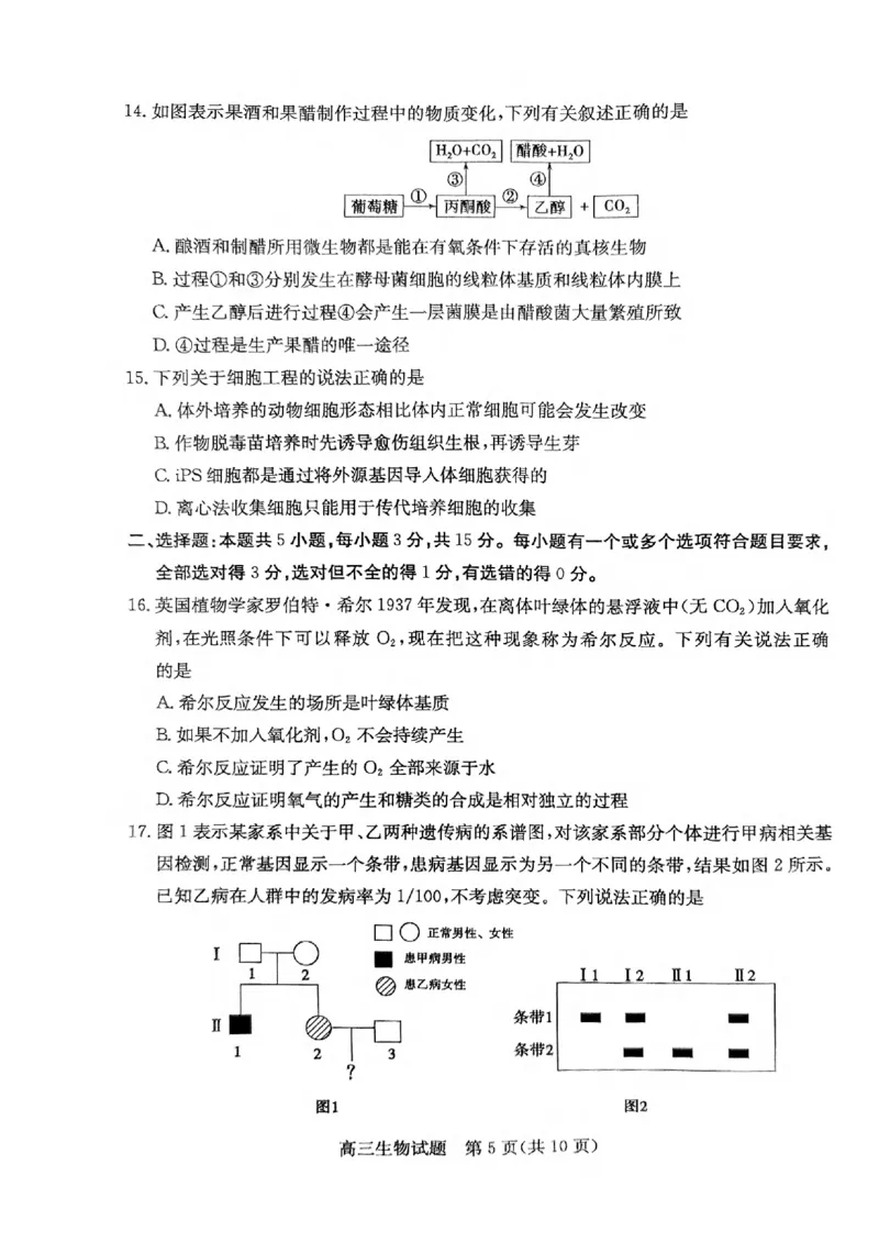 生物试卷_2025年1月_250120山东省枣庄市2025届高三第一学期质量检测（全科）_山东省枣庄市2024-2025学年高三上学期1月期末生物