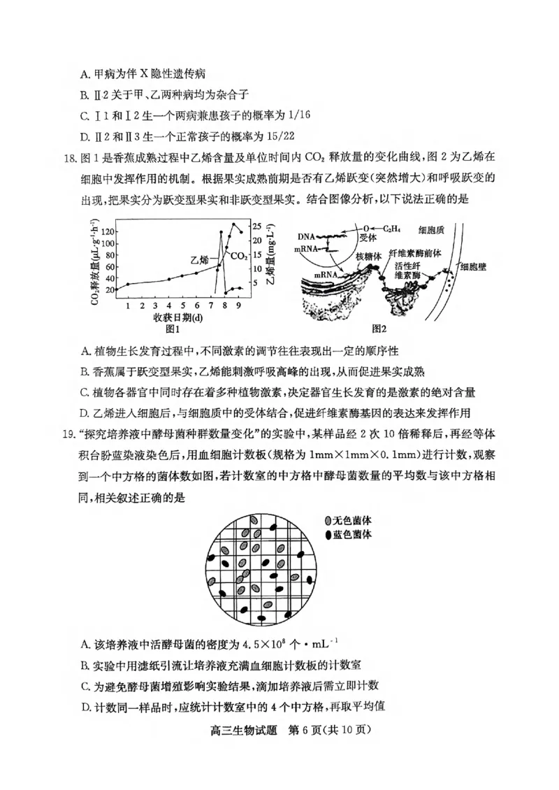 生物试卷_2025年1月_250120山东省枣庄市2025届高三第一学期质量检测（全科）_山东省枣庄市2024-2025学年高三上学期1月期末生物