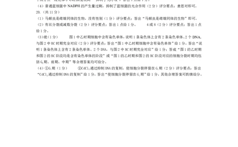 生物学安徽高三年级十月调研考试评分细则_2025年10月_251018安徽天一大联考豫皖联考2026届高三上学期十月调研考试（全科）_安徽高三年级十月调研考试答案