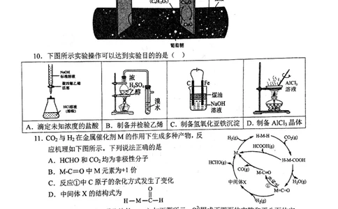 华师一附中五月适应性检测化学_2025年5月_250531湖北省武汉市华中师范大学第一附属中学2025届高三下学期五月适应性检测（全科）