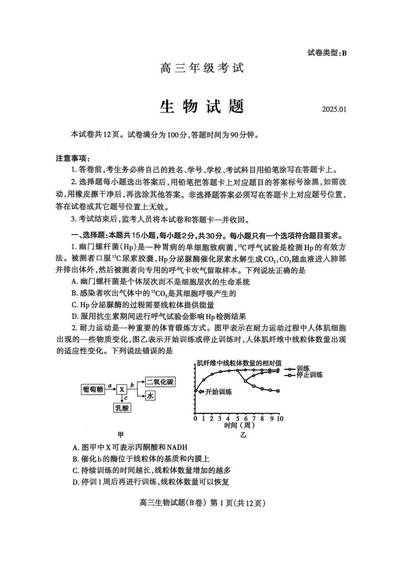 山东省泰安市2024-2025学年度高三上学期期末考试生物试题_2025年1月_250123山东省泰安市2024-2025学年高三上学期1月期末试题（全科）