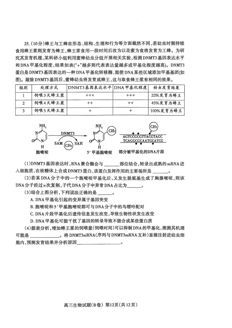 山东省泰安市2024-2025学年度高三上学期期末考试生物试题_2025年1月_250123山东省泰安市2024-2025学年高三上学期1月期末试题（全科）