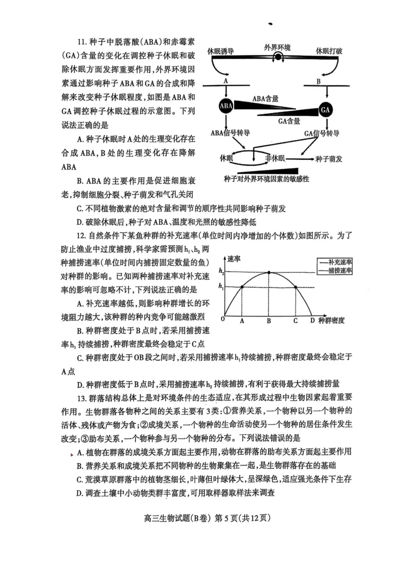 山东省泰安市2024-2025学年度高三上学期期末考试生物试题_2025年1月_250123山东省泰安市2024-2025学年高三上学期1月期末试题（全科）