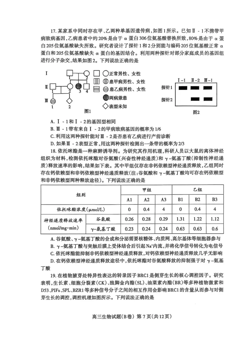 山东省泰安市2024-2025学年度高三上学期期末考试生物试题_2025年1月_250123山东省泰安市2024-2025学年高三上学期1月期末试题（全科）