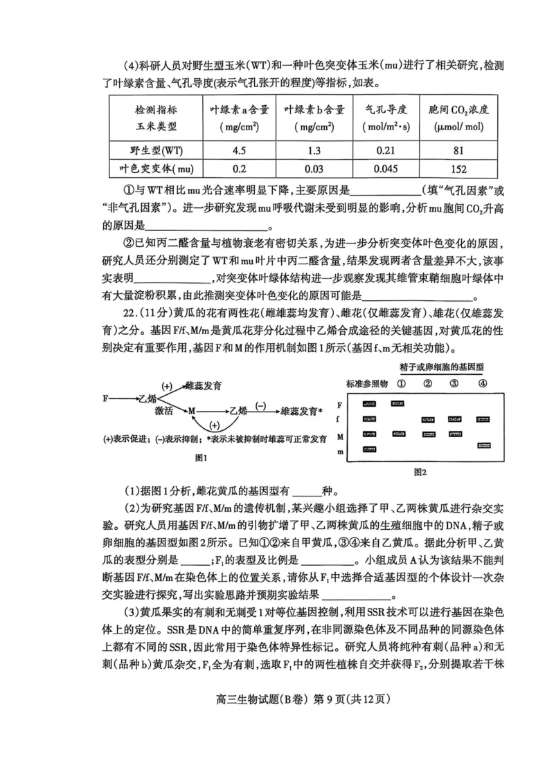 山东省泰安市2024-2025学年度高三上学期期末考试生物试题_2025年1月_250123山东省泰安市2024-2025学年高三上学期1月期末试题（全科）