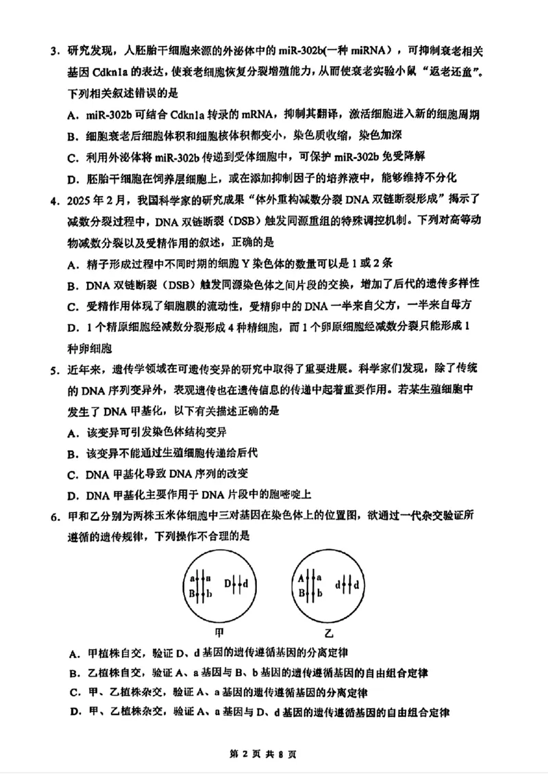 海南省海口市2025届高三下学期仿真考试生物+答案_2025年4月_250417海南省海口市2025届高三年级4月仿真考试（全科）