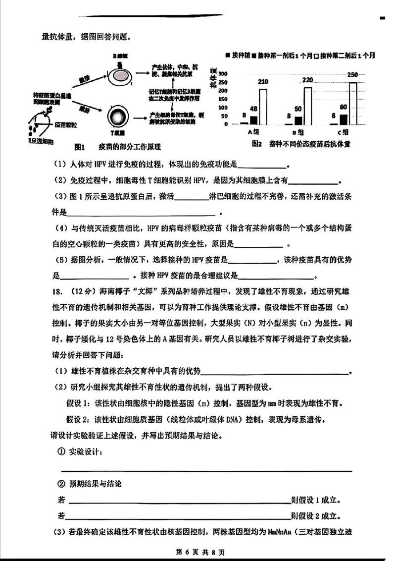 海南省海口市2025届高三下学期仿真考试生物+答案_2025年4月_250417海南省海口市2025届高三年级4月仿真考试（全科）