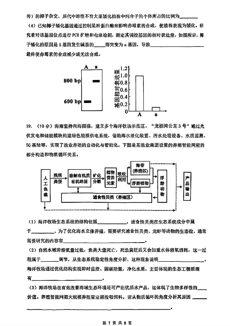 海南省海口市2025届高三下学期仿真考试生物+答案_2025年4月_250417海南省海口市2025届高三年级4月仿真考试（全科）