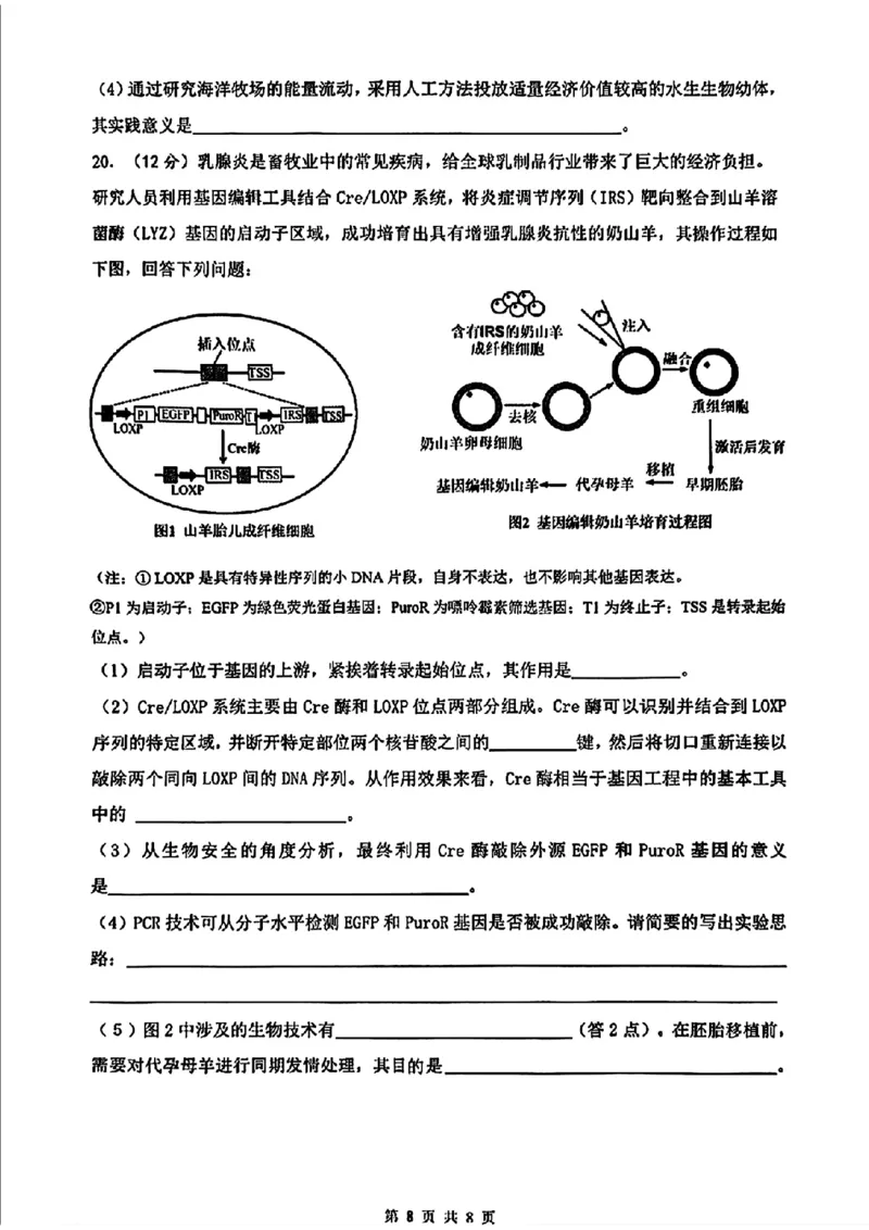 海南省海口市2025届高三下学期仿真考试生物+答案_2025年4月_250417海南省海口市2025届高三年级4月仿真考试（全科）