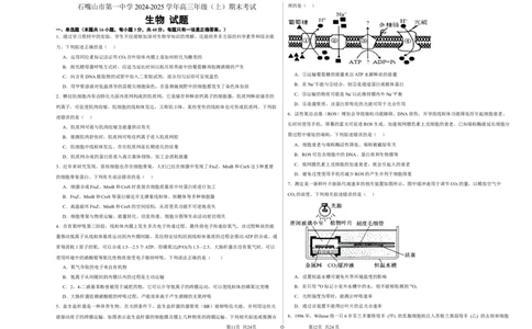 宁夏石嘴山市第一中学2024-2025学年高三上学期1月期末生物_2025年2月_250205宁夏石嘴山市第一中学2024-2025学年高三上学期1月期末试题
