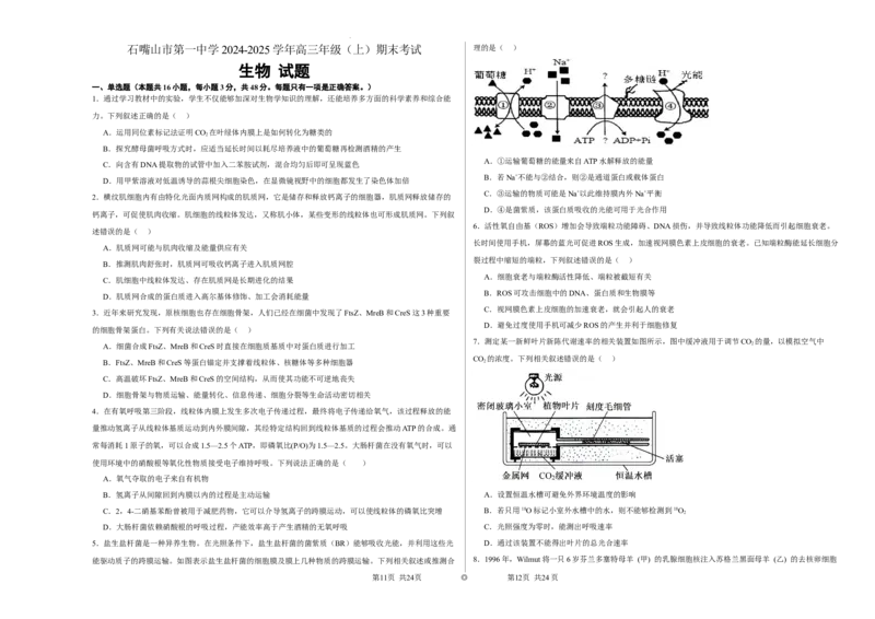 宁夏石嘴山市第一中学2024-2025学年高三上学期1月期末生物_2025年2月_250205宁夏石嘴山市第一中学2024-2025学年高三上学期1月期末试题