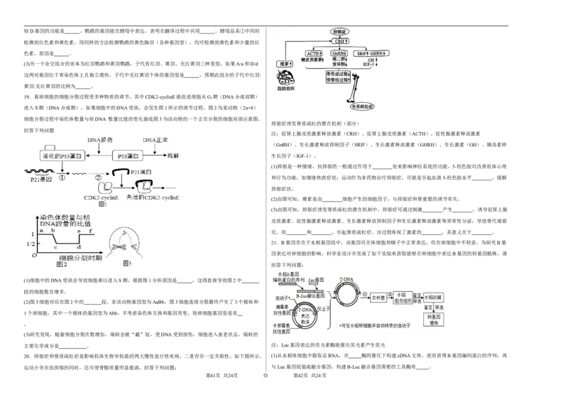 宁夏石嘴山市第一中学2024-2025学年高三上学期1月期末生物_2025年2月_250205宁夏石嘴山市第一中学2024-2025学年高三上学期1月期末试题