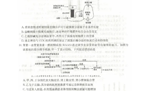 河南省TOP二十名校2025届高三猜题大联考生物试题（含答案）_2025年5月_250516河南省TOP二十名校2025届高三猜题大联考（全科）