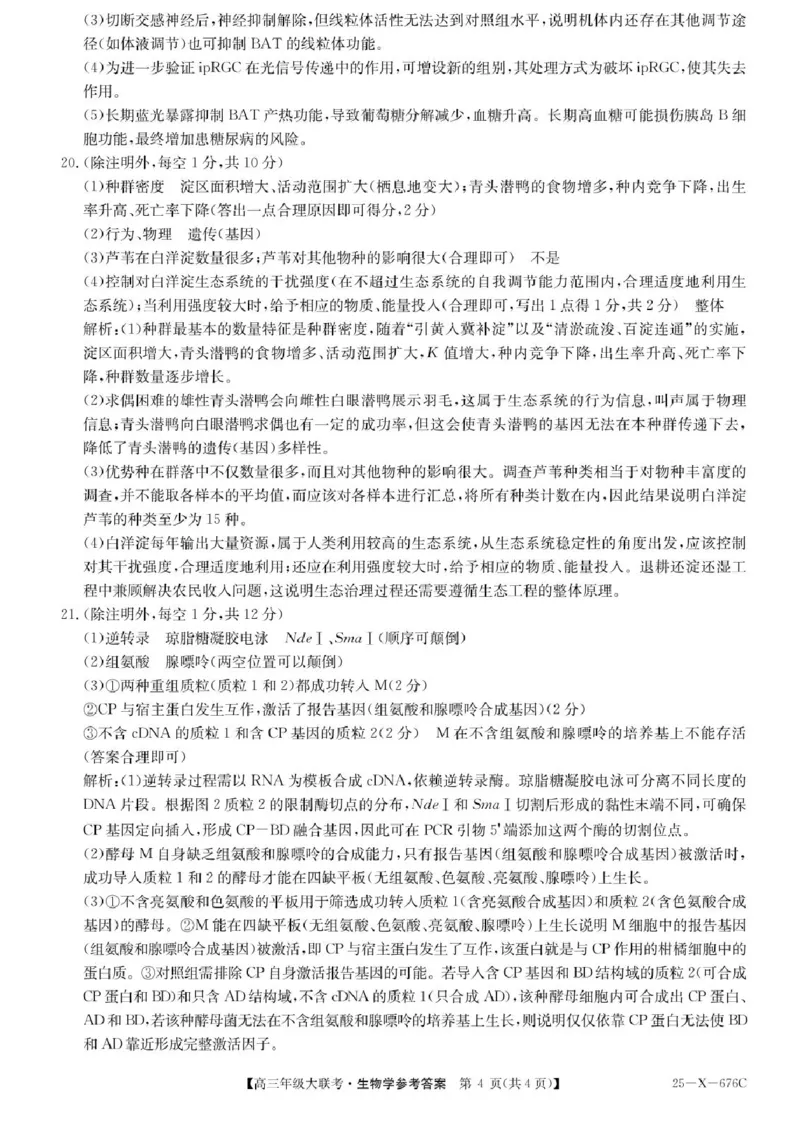 河南省TOP二十名校2025届高三猜题大联考生物试题（含答案）_2025年5月_250516河南省TOP二十名校2025届高三猜题大联考（全科）