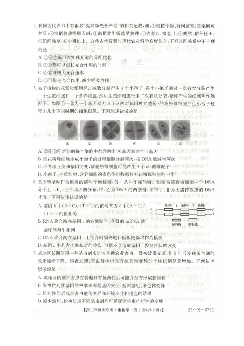 河南省TOP二十名校2025届高三猜题大联考生物试题（含答案）_2025年5月_250516河南省TOP二十名校2025届高三猜题大联考（全科）