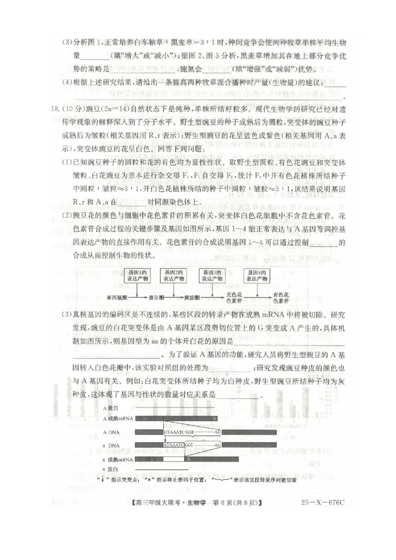 河南省TOP二十名校2025届高三猜题大联考生物试题（含答案）_2025年5月_250516河南省TOP二十名校2025届高三猜题大联考（全科）