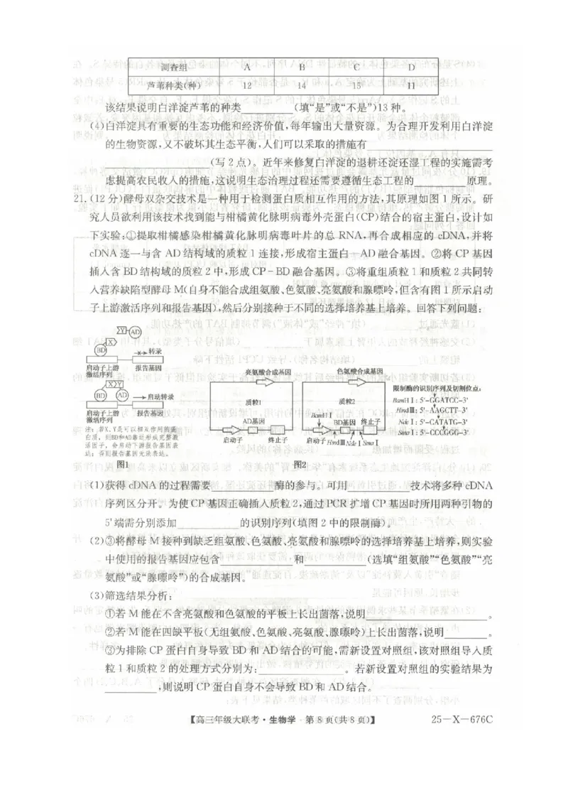 河南省TOP二十名校2025届高三猜题大联考生物试题（含答案）_2025年5月_250516河南省TOP二十名校2025届高三猜题大联考（全科）