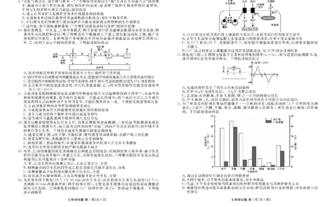 湖北省十堰市2025届高三下学期5月份适应性考试生物试题（含答案）_2025年5月_250521湖北省十堰市2025届高三下学期五月份适应性考试（全科）