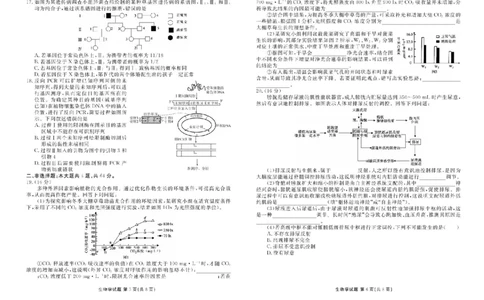 湖北省十堰市2025届高三下学期5月份适应性考试生物试题（含答案）_2025年5月_250521湖北省十堰市2025届高三下学期五月份适应性考试（全科）