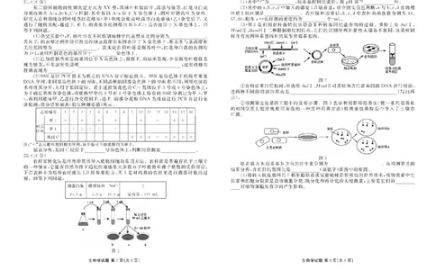湖北省十堰市2025届高三下学期5月份适应性考试生物试题（含答案）_2025年5月_250521湖北省十堰市2025届高三下学期五月份适应性考试（全科）