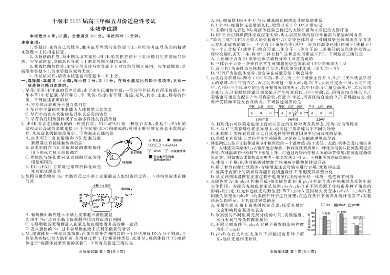 湖北省十堰市2025届高三下学期5月份适应性考试生物试题（含答案）_2025年5月_250521湖北省十堰市2025届高三下学期五月份适应性考试（全科）
