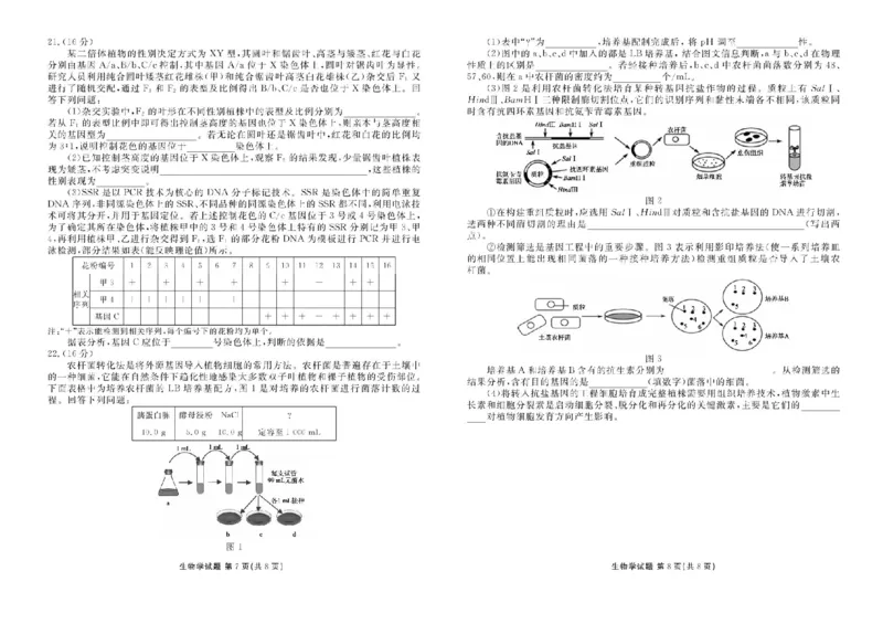 湖北省十堰市2025届高三下学期5月份适应性考试生物试题（含答案）_2025年5月_250521湖北省十堰市2025届高三下学期五月份适应性考试（全科）