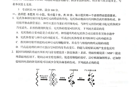 生物试题_2025年3月_250312山东省青岛市2025年高三年级第一次适应性检测（青岛一模）（全科）_山东省青岛市2025年高三年级第一次适应性检测生物