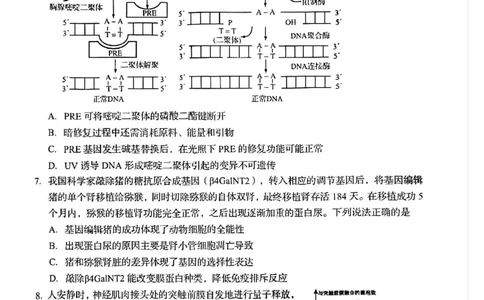 生物试题_2025年3月_250312山东省青岛市2025年高三年级第一次适应性检测（青岛一模）（全科）_山东省青岛市2025年高三年级第一次适应性检测生物