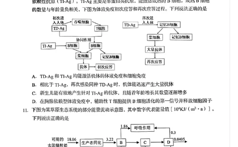 生物试题_2025年3月_250312山东省青岛市2025年高三年级第一次适应性检测（青岛一模）（全科）_山东省青岛市2025年高三年级第一次适应性检测生物