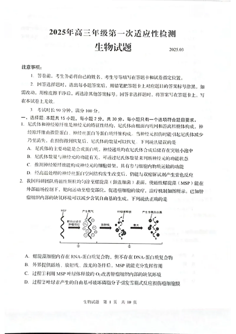 生物试题_2025年3月_250312山东省青岛市2025年高三年级第一次适应性检测（青岛一模）（全科）_山东省青岛市2025年高三年级第一次适应性检测生物
