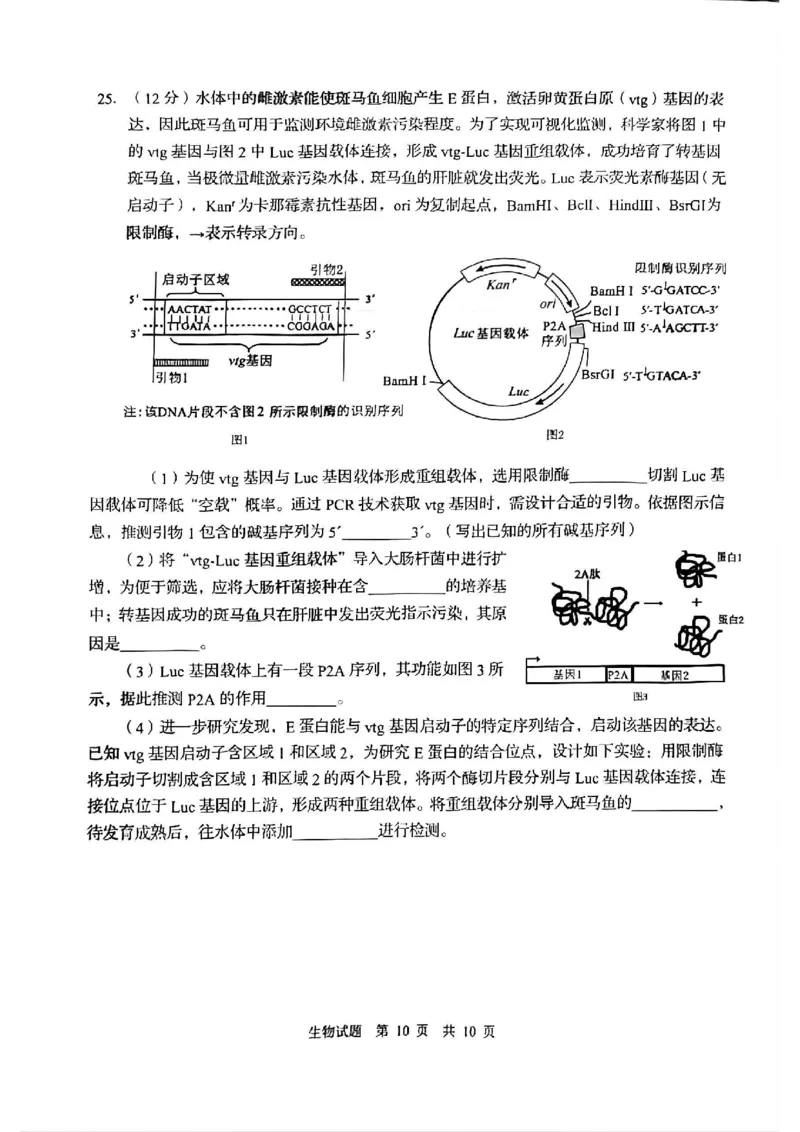 生物试题_2025年3月_250312山东省青岛市2025年高三年级第一次适应性检测（青岛一模）（全科）_山东省青岛市2025年高三年级第一次适应性检测生物