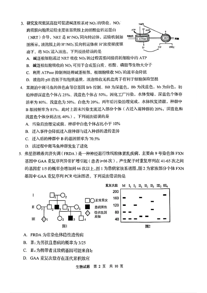 生物试题_2025年3月_250312山东省青岛市2025年高三年级第一次适应性检测（青岛一模）（全科）_山东省青岛市2025年高三年级第一次适应性检测生物