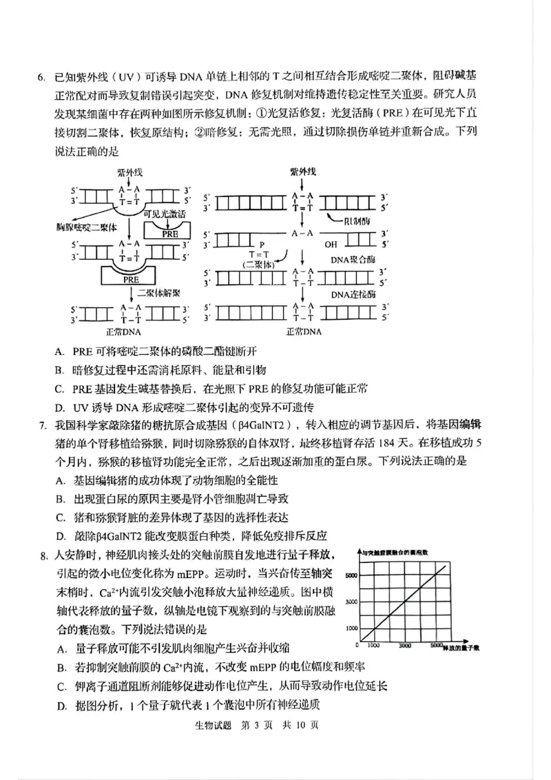 生物试题_2025年3月_250312山东省青岛市2025年高三年级第一次适应性检测（青岛一模）（全科）_山东省青岛市2025年高三年级第一次适应性检测生物