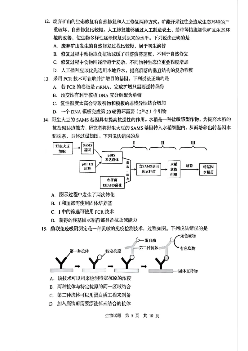 生物试题_2025年3月_250312山东省青岛市2025年高三年级第一次适应性检测（青岛一模）（全科）_山东省青岛市2025年高三年级第一次适应性检测生物