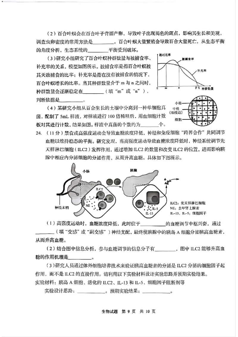 生物试题_2025年3月_250312山东省青岛市2025年高三年级第一次适应性检测（青岛一模）（全科）_山东省青岛市2025年高三年级第一次适应性检测生物