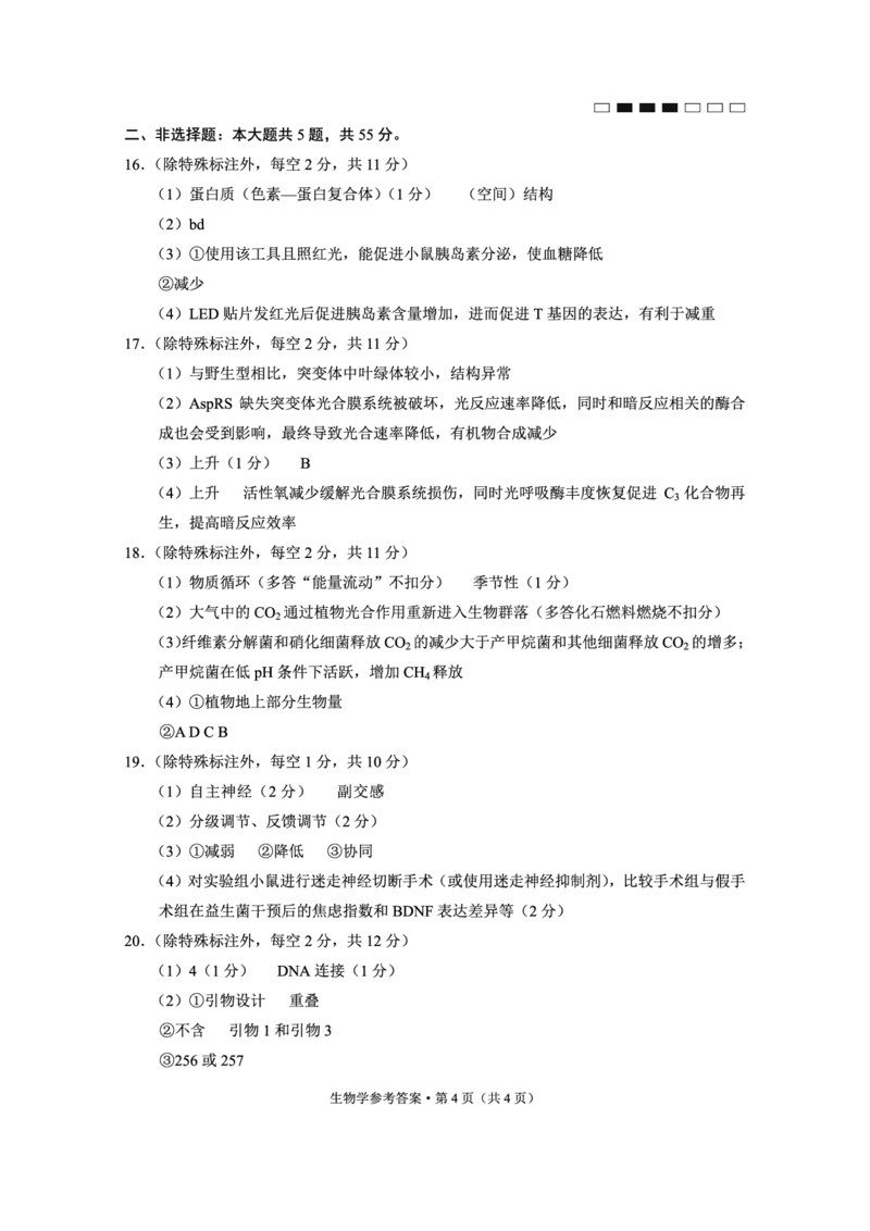 重庆市巴蜀中学高2025届高三3月适应性月考卷（六）生物答案_2025年3月_250316重庆市巴蜀中学高2025届高三3月适应性月考卷（六）（全科）