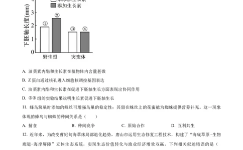 精品解析：河北省唐山市2025-2026学年高三上学期开学生物试题（原卷版）_2025年9月_250914河北省唐山市2025-2026学年度高三年级摸底演练（全科）