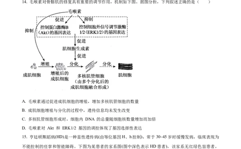 精品解析：河北省唐山市2025-2026学年高三上学期开学生物试题（原卷版）_2025年9月_250914河北省唐山市2025-2026学年度高三年级摸底演练（全科）