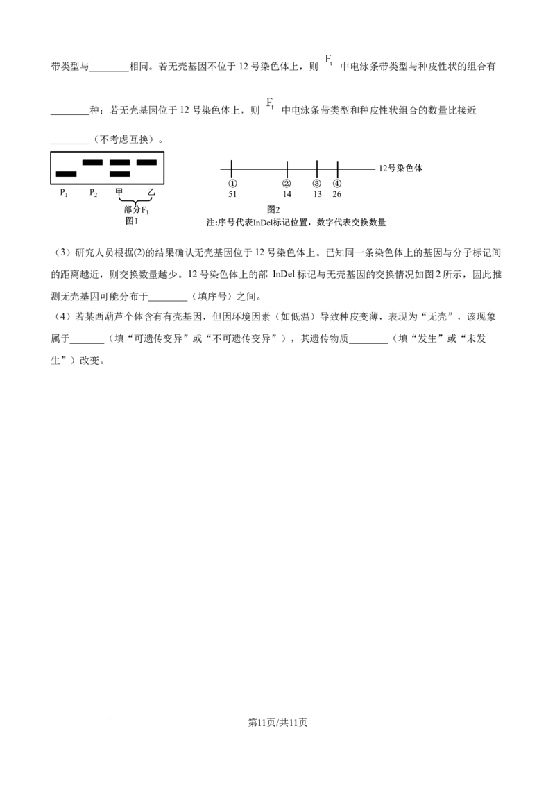精品解析：河北省唐山市2025-2026学年高三上学期开学生物试题（原卷版）_2025年9月_250914河北省唐山市2025-2026学年度高三年级摸底演练（全科）