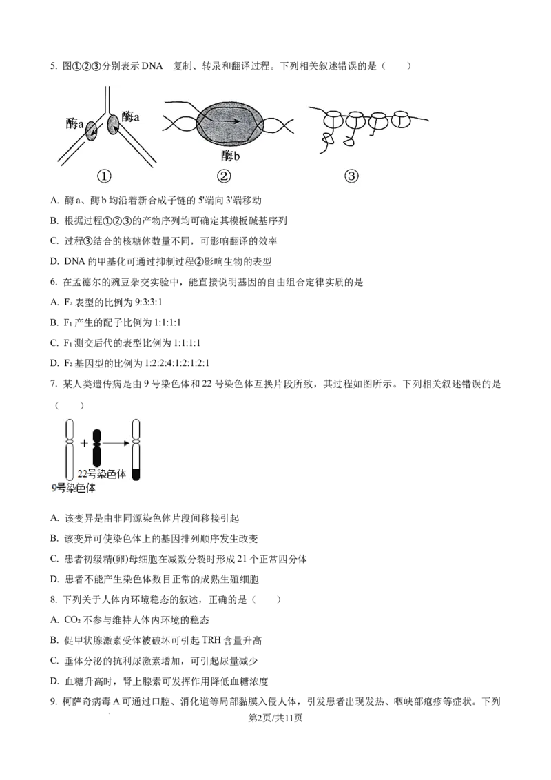 精品解析：河北省唐山市2025-2026学年高三上学期开学生物试题（原卷版）_2025年9月_250914河北省唐山市2025-2026学年度高三年级摸底演练（全科）